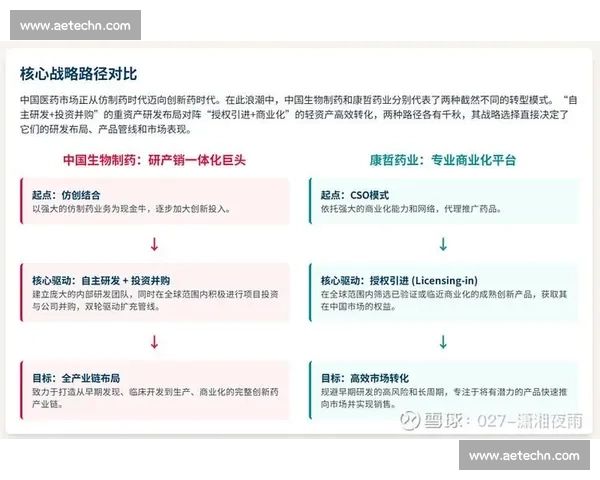 聚焦企业行业拓展方案的战略布局与增长路径及可持续发展实践探索