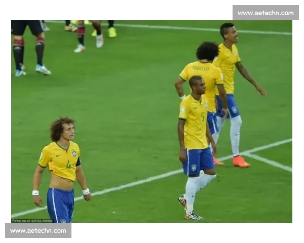 聚焦全球体育赛事排名变迁与冠军荣耀榜单解析及历史数据趋势观察