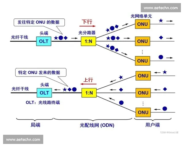 关键先生的智慧人生探索与职场成长全景解析